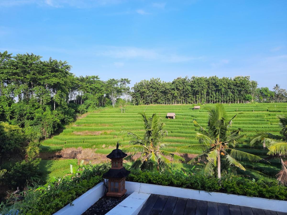 Serenity Private Villa Mas Ubud Экстерьер фото