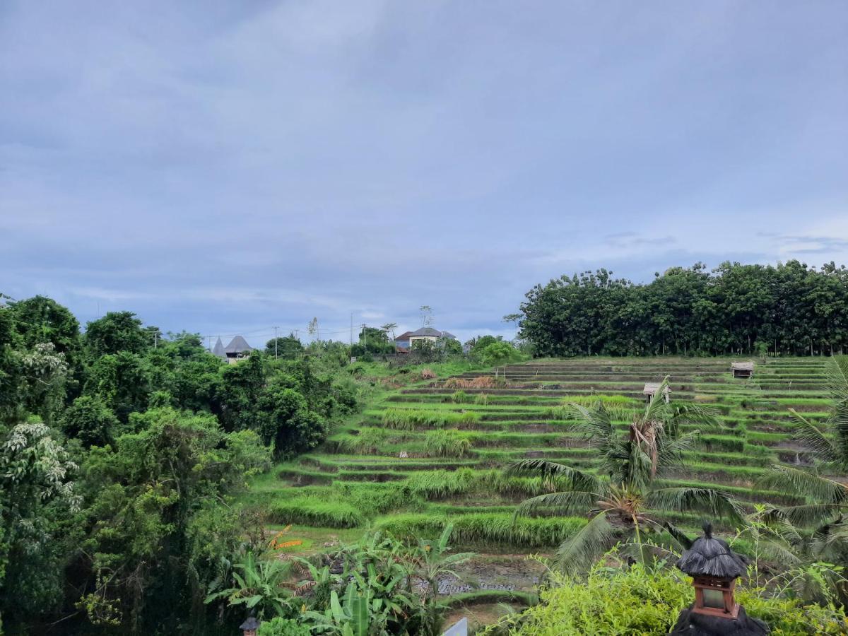 Serenity Private Villa Mas Ubud Экстерьер фото