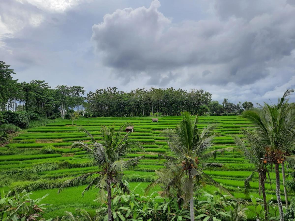 Serenity Private Villa Mas Ubud Экстерьер фото