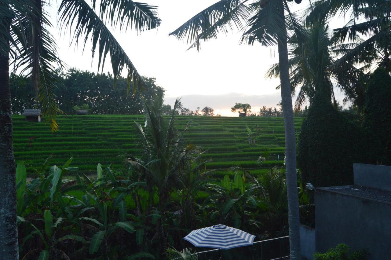 Serenity Private Villa Mas Ubud Экстерьер фото